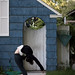 Ashley Hooper Photo 25