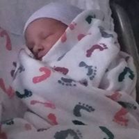Kevin Sparrow Photo 13