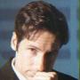 Karen Hartmann Photo 31