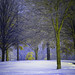 Carol Schultz Photo 2