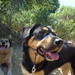 Lucy Tyson Photo 10