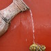 Donna Reach Photo 7