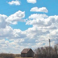 Timothy Schafer Photo 14