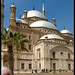 Mohammad Pasha Photo 24