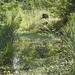 Michael Vallee Photo 17