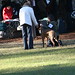Denise Flaim Photo 10
