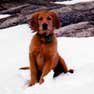 Jacob Kincaid Photo 11