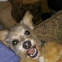 Janet Wolf Photo 8
