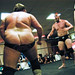 Dave Wolfe Photo 39