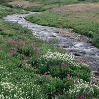 Mary Timms Photo 7