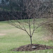 Joanne Libby Photo 11