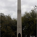 Proctor Robinson Photo 4