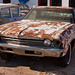 Steve Rust Photo 24