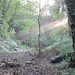 Autumn Pickering Photo 6