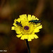 Don Wilder Photo 6