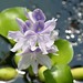 Bonnie Bright Photo 25