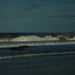 Connie Fife Photo 8