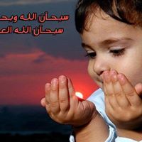 Mohsen Rabie Photo 2