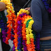 Ana Pride Photo 9