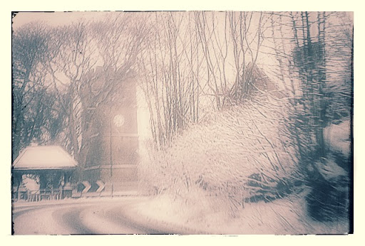 Sue Simpson Photo 5