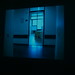 Judith Ludwig Photo 19