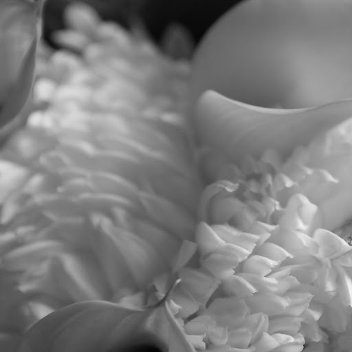 Michelle Ralston Photo 8