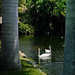 Amy Bartlett Photo 27