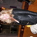 Sheri Mason Photo 32