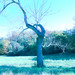 Lloyd Conklin Photo 12