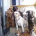 Lucy Walker Photo 17