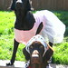 Gene Pence Photo 10