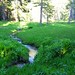 Sandy Meadows Photo 31