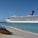 Sandy Turk Photo 9