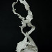 Ming Tsang Photo 8