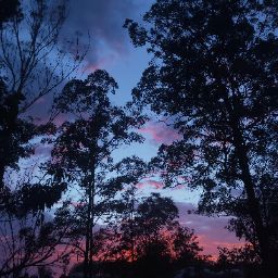 Ronald Hollis Photo 32