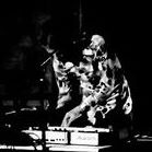 Rob Calder Photo 12
