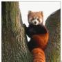 Timothy Ricketts Photo 19