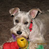 Judith Atkinson Photo 36