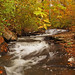 Lori Wolf Photo 16
