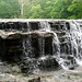 Sharon Ash Photo 18