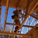 Jason Levy Photo 19