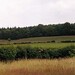 John Pook Photo 21