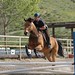 Joann Tucker Photo 18