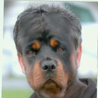 Jonathan Lytle Photo 5