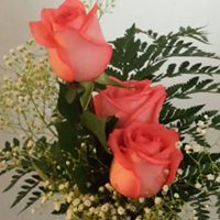 Monica Atkinson Photo 40