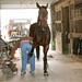 Ron Carpenter Photo 33