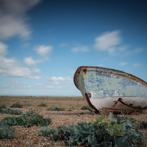 Tony Matthews Photo 7