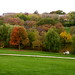 Lawrence Potter Photo 18