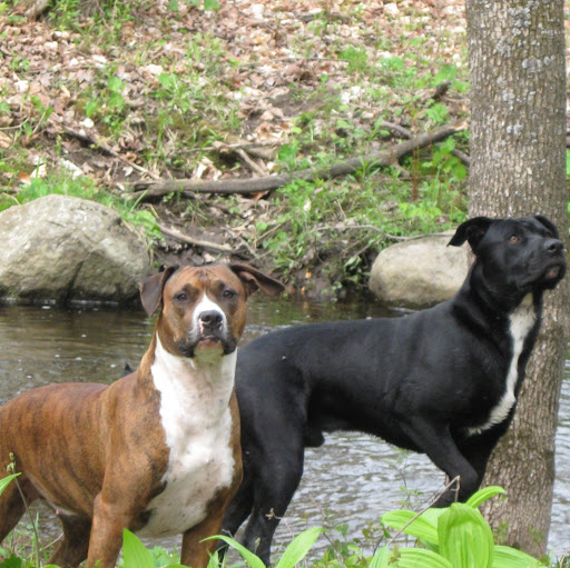Ken Reed Photo 19