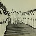 Joseph Reeves Photo 39